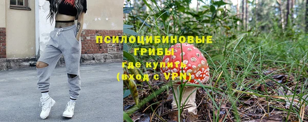амф Беломорск