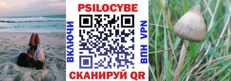 Псилоцибиновые грибы Magic Shrooms  mega как войти  Реутов 